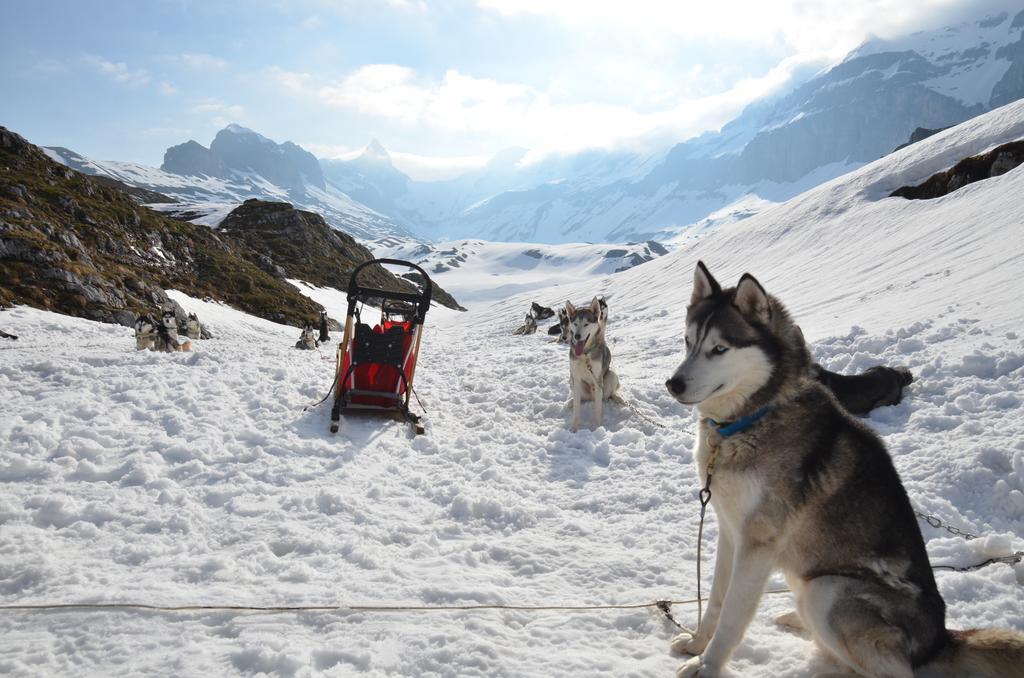 Huettenhotel Husky Lodge Муотаталь Экстерьер фото